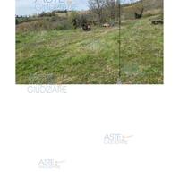 Terreno Agricolo Poggio San Marcello [A4309005]
