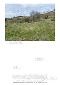 Terreno Agricolo Poggio San Marcello [A4309005]