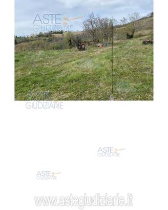 Terreno Agricolo Poggio San Marcello [A4309005]