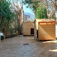 casette in legno per animali 