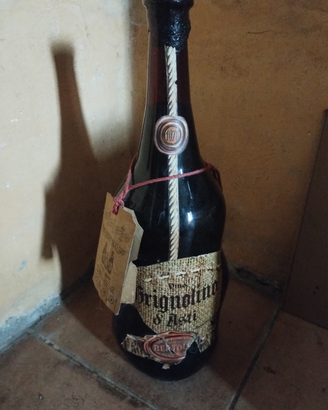 Bottiglia Bertoli grignolino d'asti 1976
