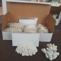set segnaposti coralli in gesso