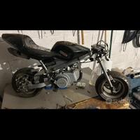 minimoto gp