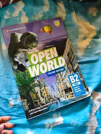 Open world italian edition