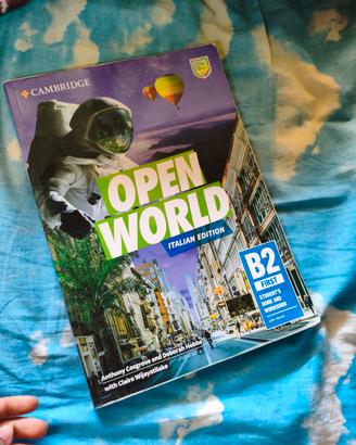 Open world italian edition