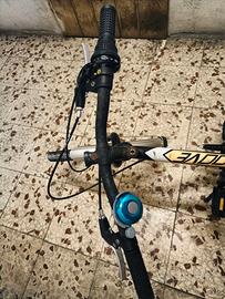 Bici bambino/a 18 pollici - Pennarola