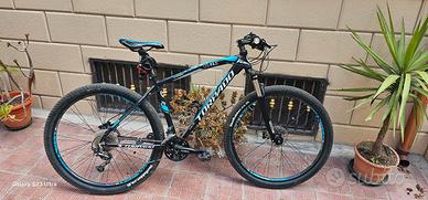 bici Torpado professionale da 29