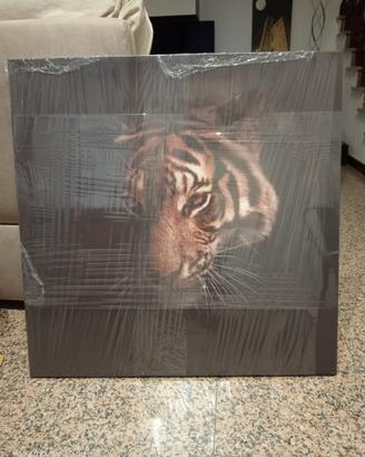 Stampa Tigre
