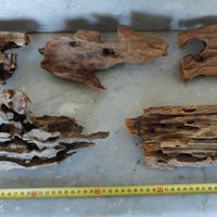 Legni e pietre per acquario