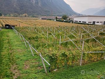 Terreno artigianale produttivo