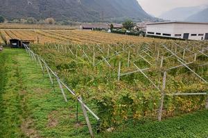 Terreno artigianale produttivo
