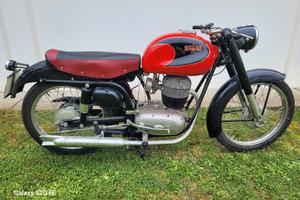 Bianchi175Tonale