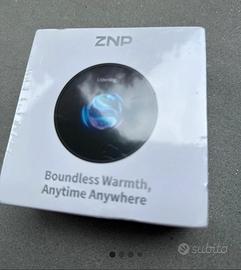 Ai badget ZNP traduttore