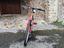 Immagine 2