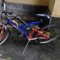 Mountain bike Esperia