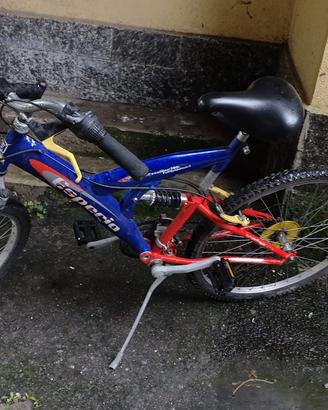 Mountain bike Esperia