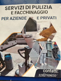 Pulizie professionali