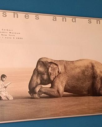 Poster "Ashes and Snow", Gregory Colbert