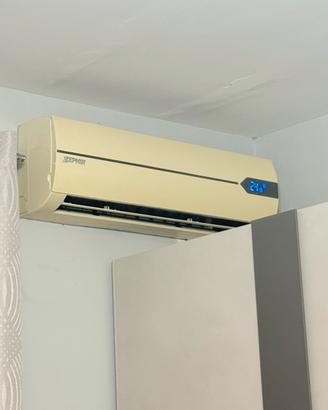 2 Climatizzatore 9000 e 1 12000
