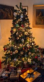 Pino per albero di Natale 