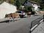 Immagine 27