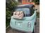 Immagine 7