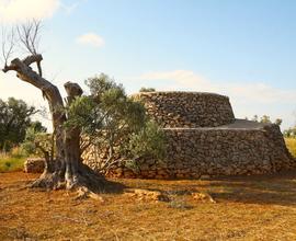 Terreno con trullo