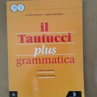 Il Tantucci Plus grammatica