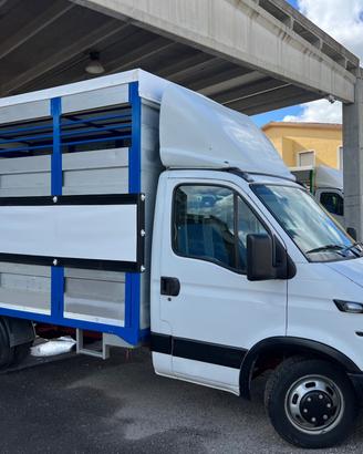 Iveco Daily 35c13 trasporto animali vivi Cavalli