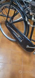 bicicletta d'epoca raleigh