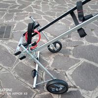 carrellino per cane disabile