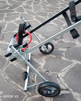 carrellino per cane disabile