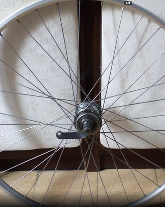 Ruota posteriore bici contropedale