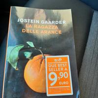 libro  di Jostein Gaarder