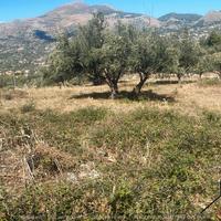 Terreno edificabile c.da Iazzo Vecchio (Rif.1705)