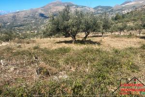 Terreno edificabile c.da Iazzo Vecchio (Rif.1705)