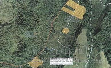 Terreno Agricolo Soriano nel Cimino [A4320938]