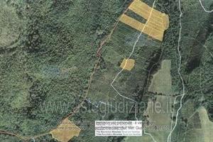 Terreno Agricolo Soriano nel Cimino [A4320938]