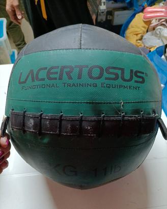 Medball Lacertosus