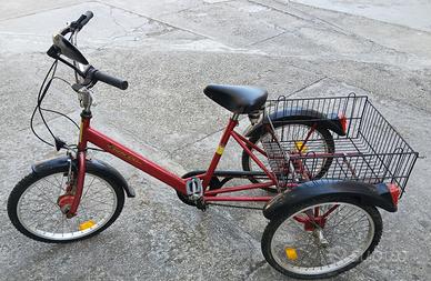 Bicicletta a tre ruote triciclo adulti