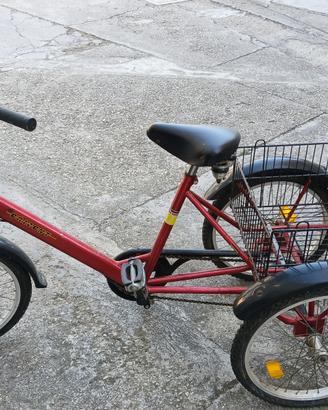 Bicicletta a tre ruote triciclo adulti