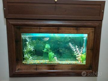 acquario da parete 