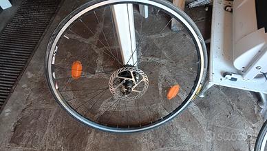 cerchi mtb