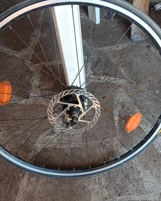cerchi mtb