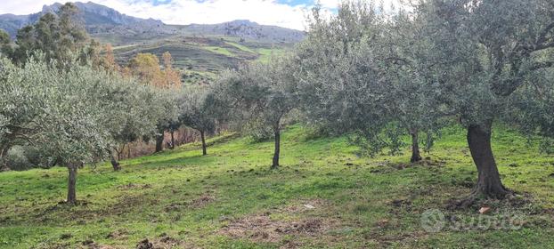 Terreno Agricolo Gratteri