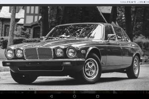 Jaguar ricambio