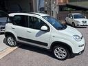 fiat-panda-1-3-mjt-75-cv-4x4