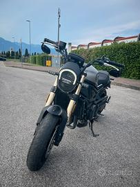 Benelli Leoncino 800