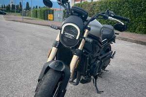 Benelli Leoncino 800