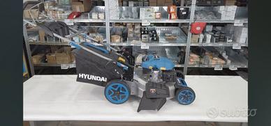 Rasaerba Professionale